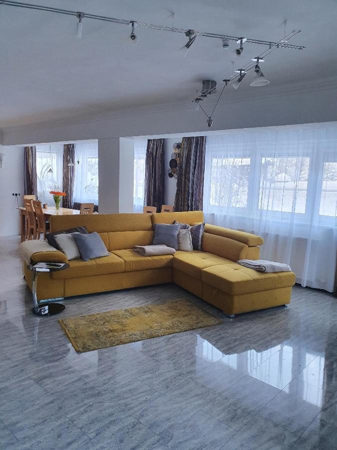 Glemmy Appartements Inkl Sommercard Viehhofen Dış mekan fotoğraf